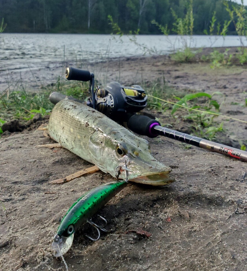 рыбак с уловом. рыбалка в пензе. пензенские рыбаки 58. фото улова. пензенские рыбаки.
