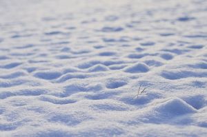 Появилось фото с места загадочной гибели 17-летнего парня в Золотаревке