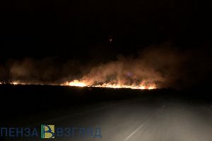 «Был сильный ветер, быстро разгоралось». Очевидцы наблюдали огненный апокалипсис в Пензенской области