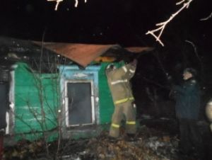 Деревянный дом в Пензенской области тушили восемь человек