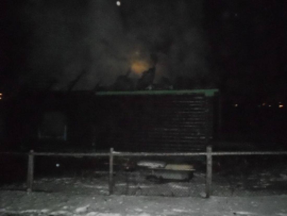 При пожаре рано утром в Пензенской области пострадали несколько человек