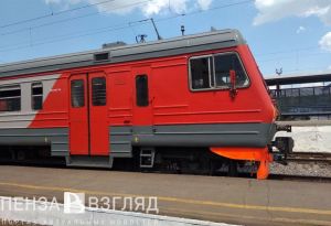 Пензенские полицейские сняли с поезда перевозчика гашиша