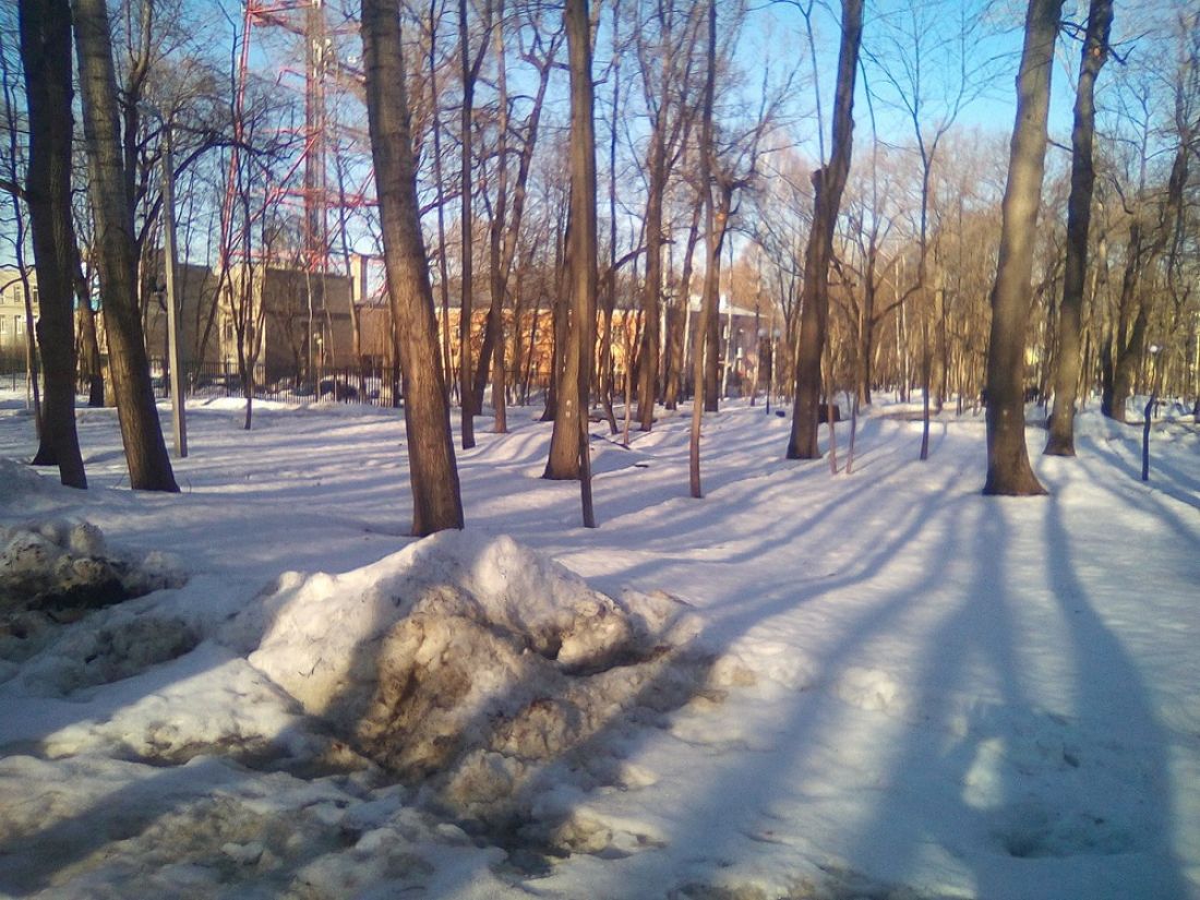 В районе Западной поляны в Пензе появятся новые парковки