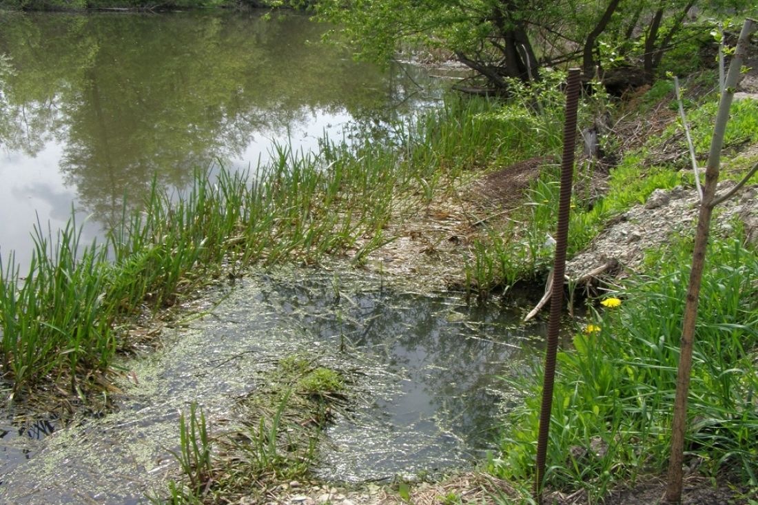 Река стекла. Река Старая Сура Пенза. Сточные воды в Сура Пенза. Река Старая Сура. Участок с которого вода стекает в реку.