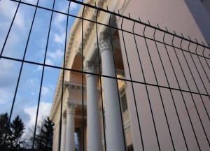 Фотовзгляд: запрет на «Родину»