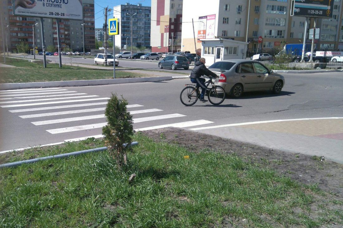 Погода в спутнике пенза