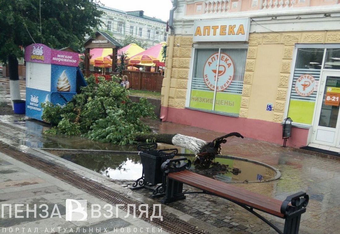 В Пензе на улице Московской с корнем вырвало дерево