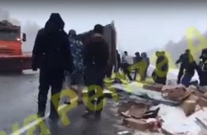 Мясо на трассе, загадочная девушка и тройное ДТП: новости Пензенской области за 19 января