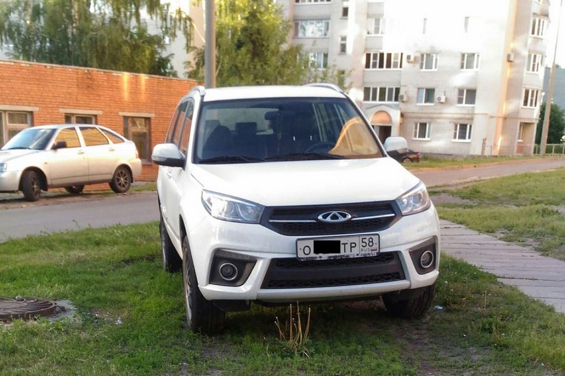 В закрытом городе Пензенской области сфотографировали автолося