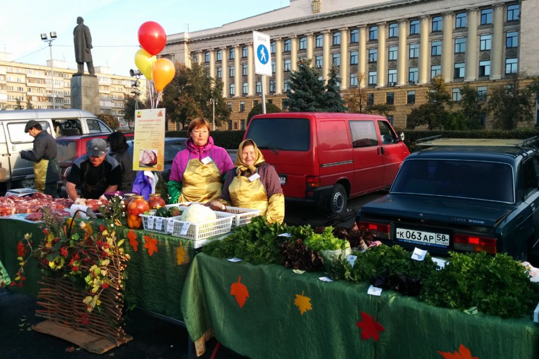 Садовод новости