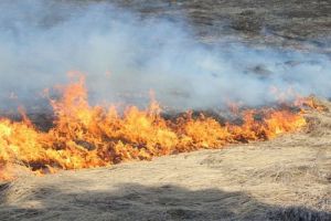 В Пензенской области на загоревшемся поле обнаружили тело мужчины