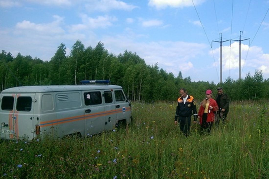 Гисметео городище пензенская область 2 недели