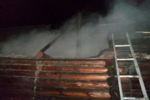 В Пензе ночной пожар уничтожил срубовую баню