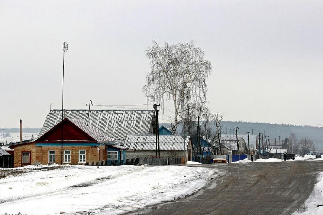 Сельский населенный пункт. Село Саловка Пензенской области. Станция Саловка Пензенская область. Пенза Пензенская область Саловка. Село станция Саловка Пензенской области.