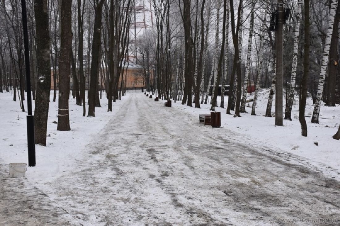 Западная поляна пенза. Тропа здоровья Пенза Западная. Олимпийская тропа в Пензе. Спутник Западная Поляна Пенза. Западные Поляне.