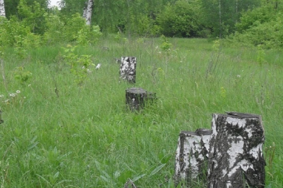 Сельсовет березка