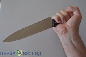 Житель Пензенской области пырнул ножом знакомого и попытался скрыться