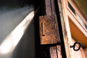 В Пензе при задержании вор попытался избавиться от добычи