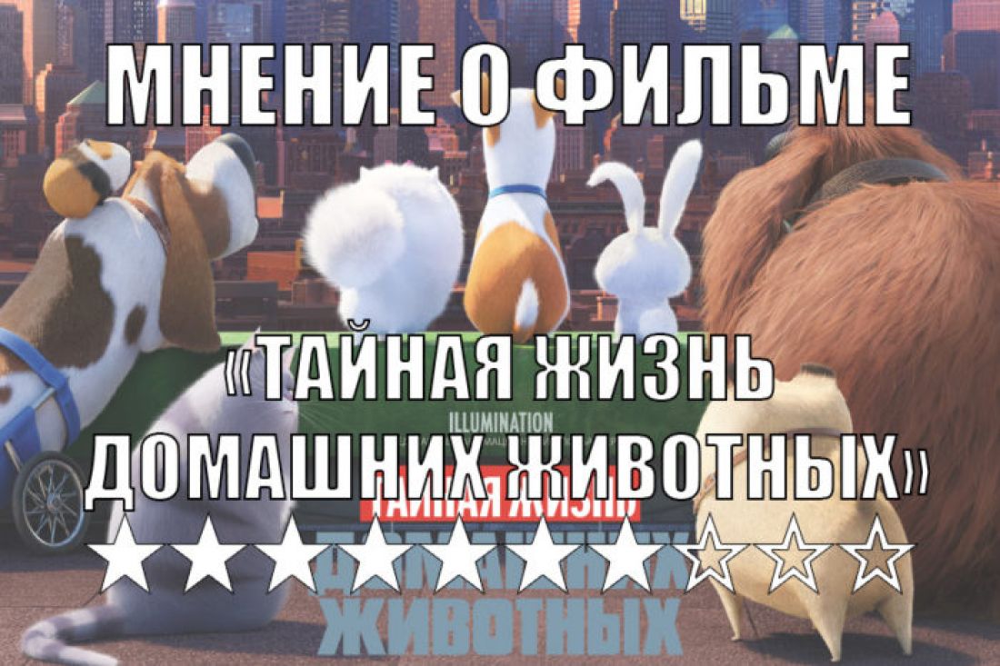 Мнение об анимационном фильме «Тайная жизнь домашних животных»