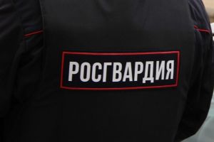 Сотрудники Росгвардии задержали пензенца, похитившего со стройки полезную вещь
