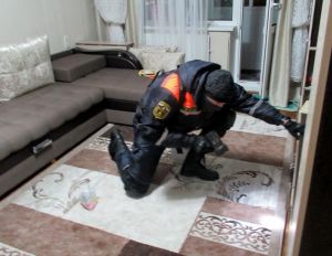 Жильцов пензенского микрорайона «Заря» спасли от отравления