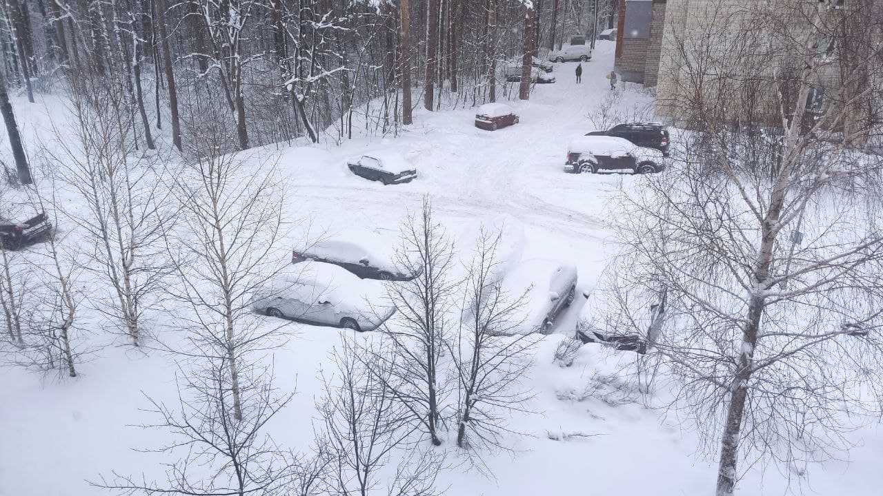 Без просвета: Пензенскую область полностью накрыли снежные облака