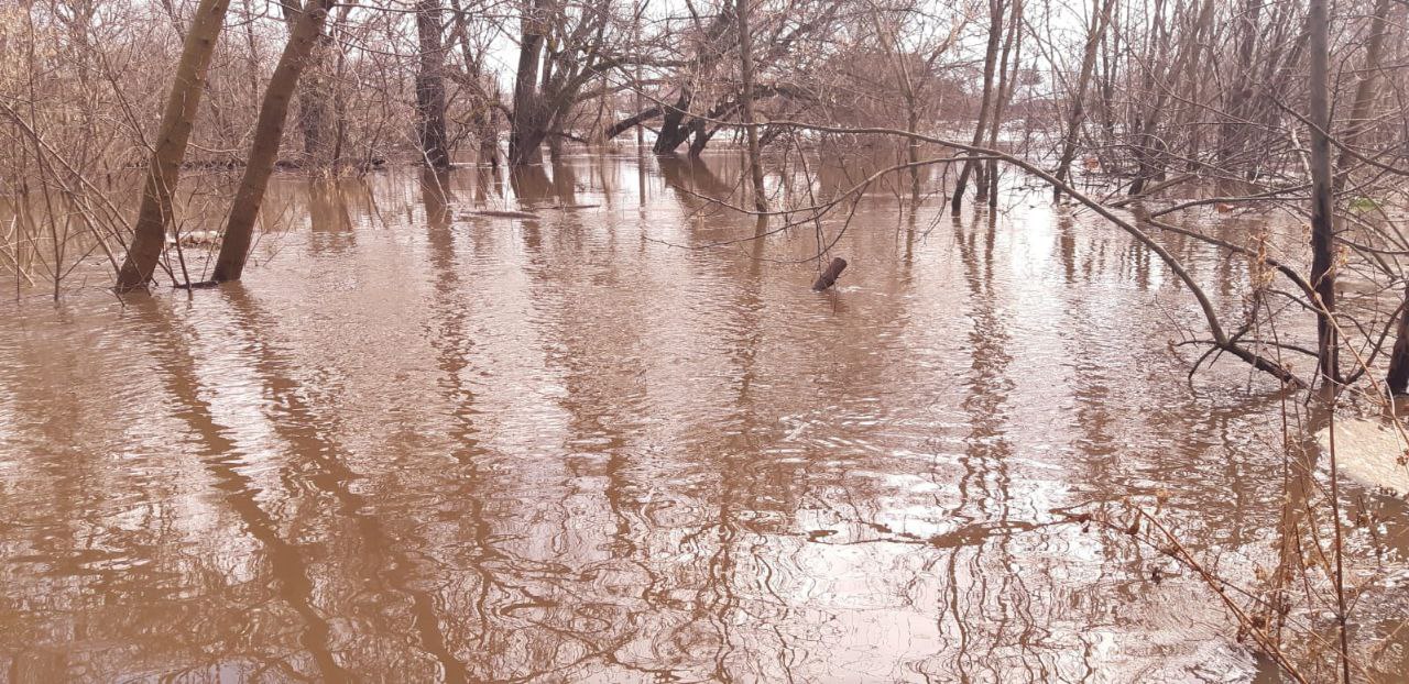 Паводок в Сердобске: появились фото ледохода на реке